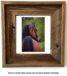 horse trail rides near me in Ewa Gentry, Hawaii